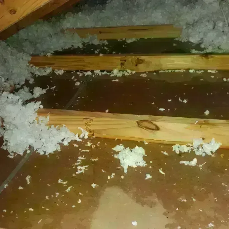 Attic Water Damage in Monticello, WI